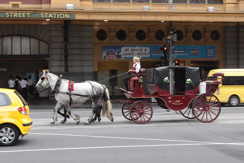 Horse drawn carriage heads along the tram tracks on Flinders Street