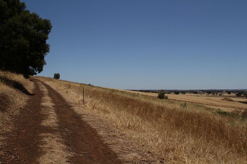 Following the path towards the top of Mount Elephant