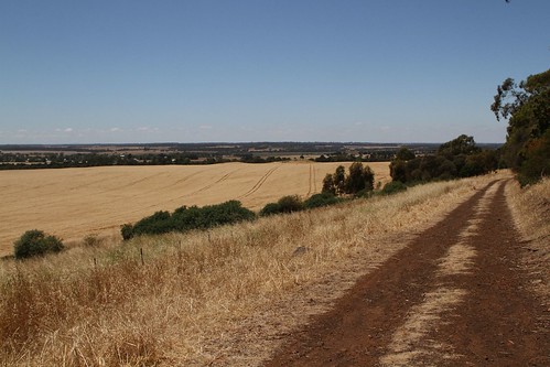 Following the path towards the top of Mount Elephant