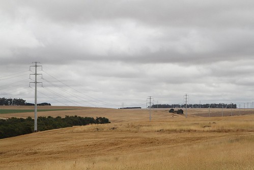 Monopoles support the 132 kV transmission line from the Stockyard Hill Wind Farm to the Haunted Gully Terminal Station outside Lismore, Victoria