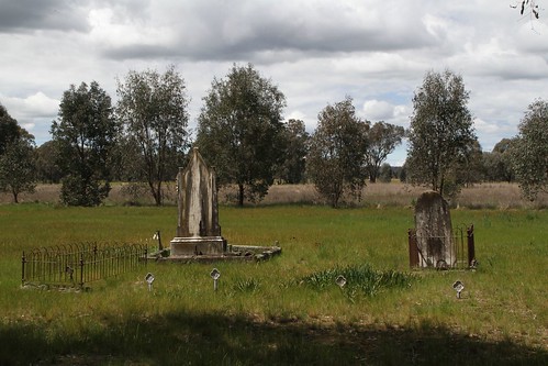 Overgrown graves at the Chiltern Old Cemetery