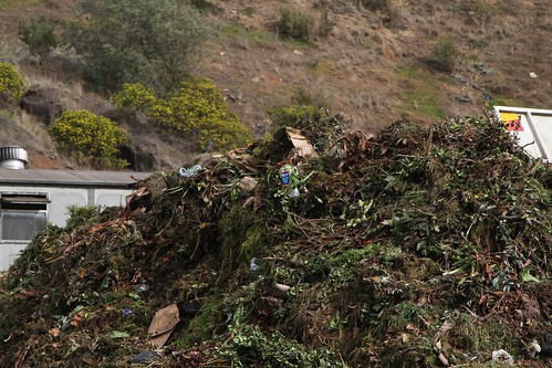 Plastic shopping bag from Aldi among the contaminants in the organic waste