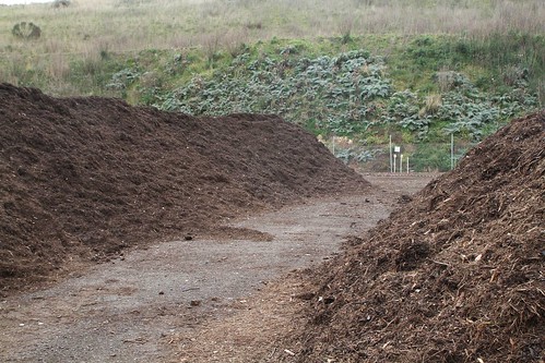 Stockpiles of compost outside the composting shed