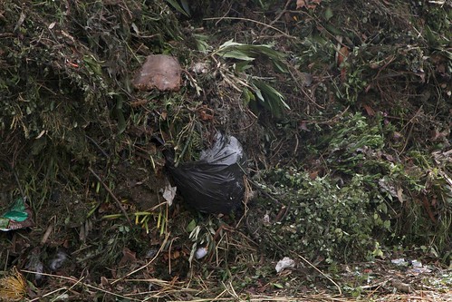 Plastic bag filled with unidentified waste waiting to be picked out of the incoming organic waste stream