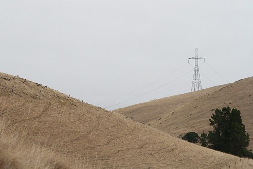 Two wire ±350 kV transmission line of the HVDC Inter-Island link crosses the hills of Weka Pass on the South Island