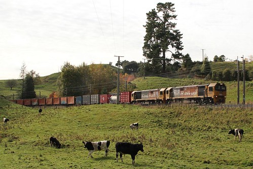 DL9262 and DL9325 lead 225 southbound intermodal freight from Auckland to Wellington along the North Island Main Trunk outside Te Kuiti