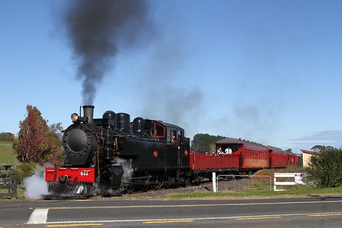 Steam locomotive WW 644 leading a train on the Glenbrook Vintage Railway at Morley Road