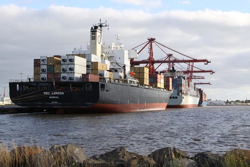 'MSC London' berthed at Swanson Dock East