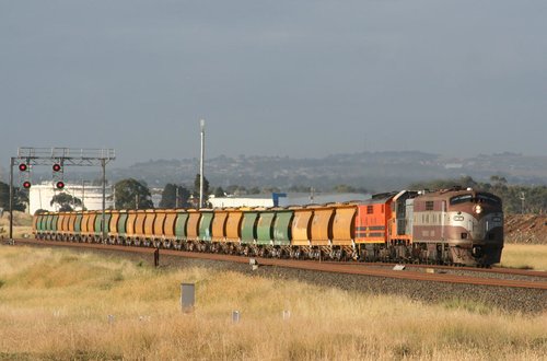 GM36, T386 and GM43 on the up outside Corio