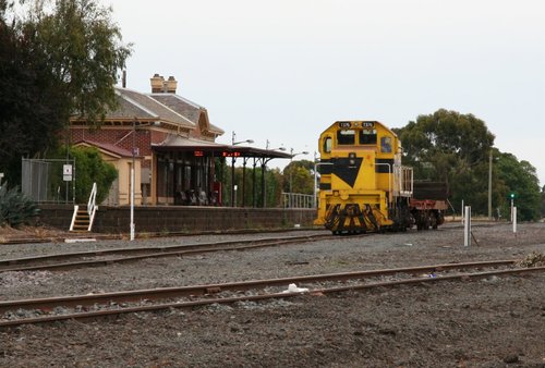 Waiting for the cross at Camperdown