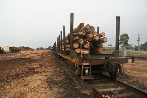 Loaded log flats at Bairnsdale