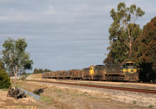 Awaiting departure from the log yard at Bairnsdale