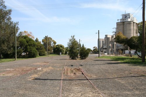 Down end of Fyansford Yard looking to the cement works, now getting overgrown