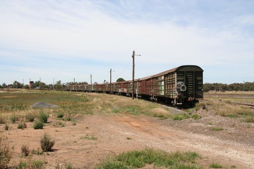 Louvred vans stabled alongside the Hopetoun line