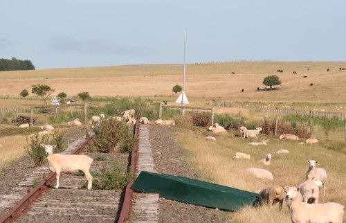 The out of use Sinclair Block Point at 381 km, provision for a TAILS train detection unit but never fitted