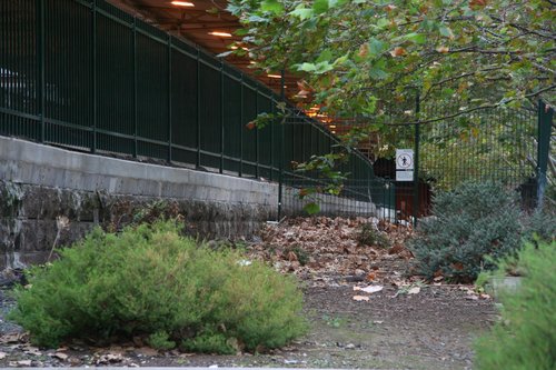 Looking east along the trackbed of platform 11