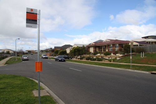 One side of the street has buses to nowhere, the other side is a cover up