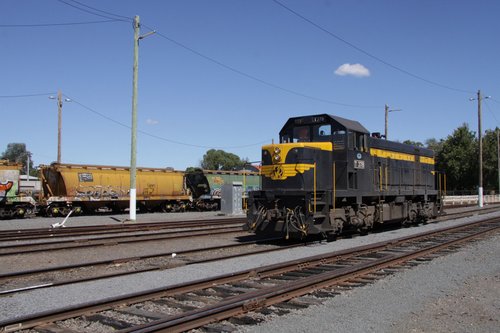 A few El Zorro grain wagons stabled in the yard at Maryborough