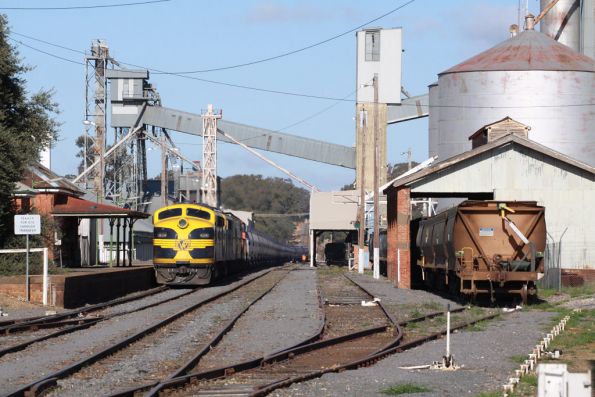 Still waiting at Dunolly, the crossing loop is out of use and the junction is manually operated, after a derailed PN grain took it all out a few weeks back