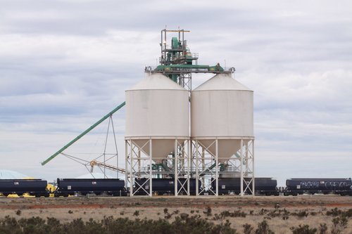 Loading silos at the Birchip GrainFlow terminal