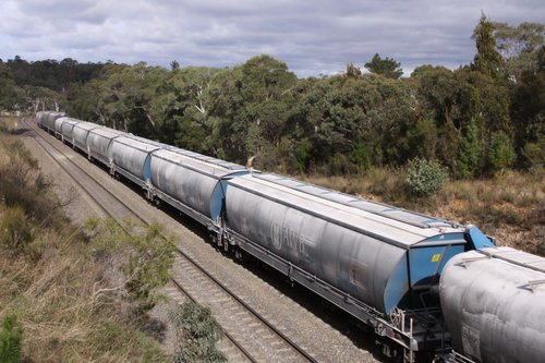 Mix of hoppers all covered with flour - the train runs between Nowra and Narrandera for Manildra Group 