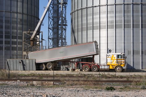 Semi trailer tipping a load of grain into the silo receival chute