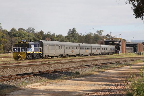 PL1 shunts carriages for the Indian Pacific in the yard at Keswick