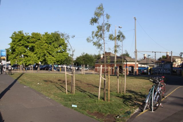 Grass and trees cover what was an abandoned wasteland on Irving Street