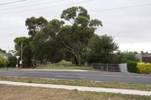 Looking down the line over the Thompson Road level crossing