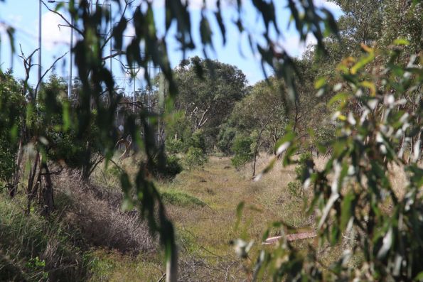 Looking east from South Morang over the former alignment