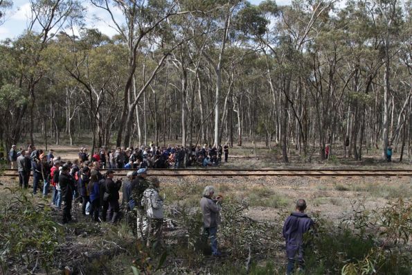 The photo line takes on a 'V' formation in the forest outside Maldon