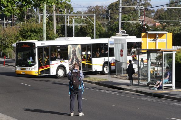 Ventura articulated bus #842 departs Blackburn station