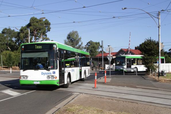 Dysons #174 rego 4298AO on a route 55 replacement service at Royal Park