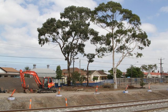 A few trees are all that remain of David Matthews Park