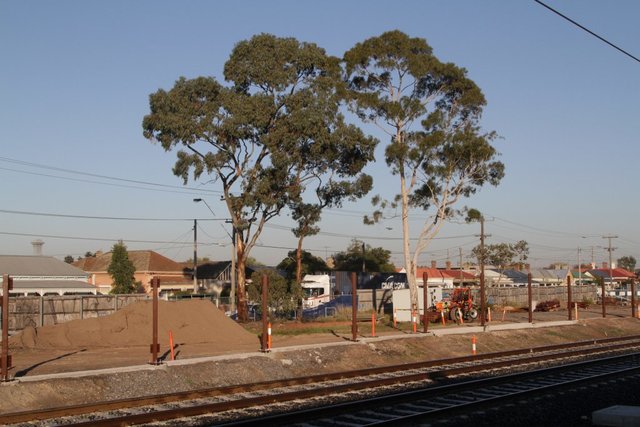 A few trees are all that remain of David Matthews Park