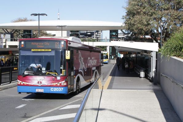 Brisbane Transport bus C2037 at the Cultural Centre busway station