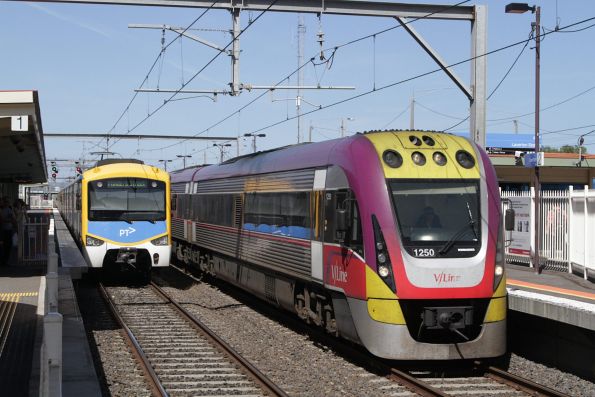 VLocity 3VL50 leads a down Geelong service past an up Siemens train at Laverton station