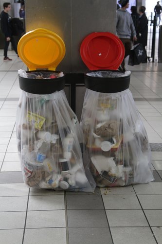 New rubbish bins on the concourse, about to overflow with crap