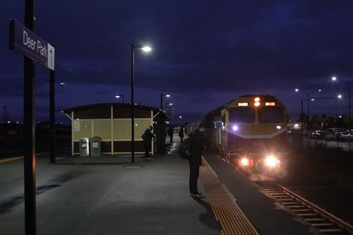 N461 arrives into Deer Park with a citybound service