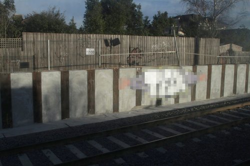 Trains been back for just a week, and the trench walls at McKinnon station have already been graffitied