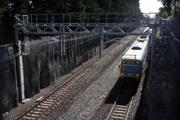 X'Trapolis trains leads a down Belgrave service through the Middleborough Road cutting at Laburnum