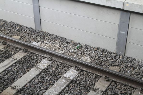 Pile of bird shit beneath the concourse at Footscray station