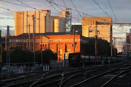 Grain wagons stabled in the siding at Kensington