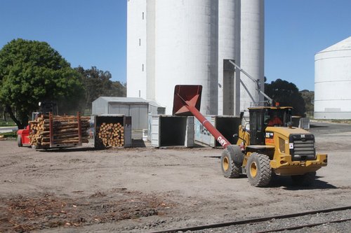 Front end loader pushes logs into a 40 foot ISO container at Bordertown