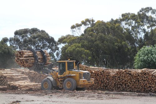 Loader goes back for another claw full of logs