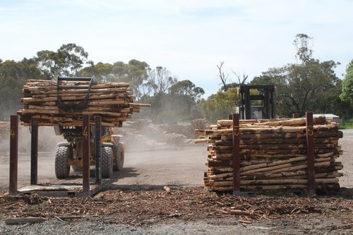 Loader delivers another claw full of logs into the cradle