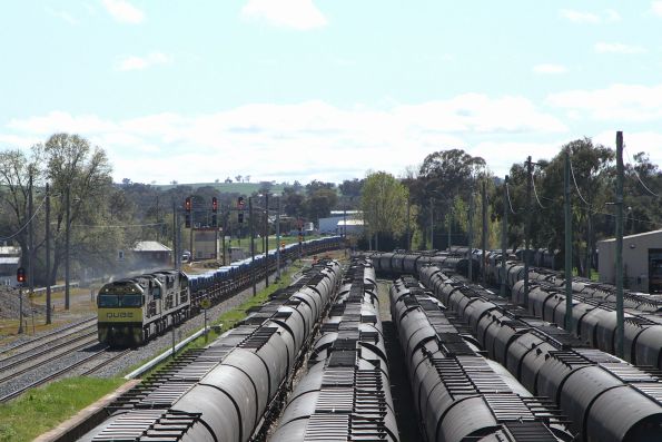 QL004 leads QL012 and QL006 on a southbound steel train past stabled grain wagons at Cootamundra