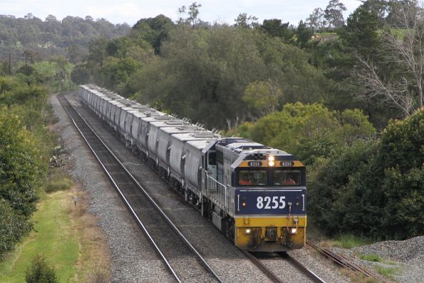 8255 outside Picton leads a rake of NPEF covered clinker hoppers from Berrima to Maldon