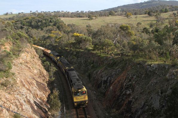 QL008 leads QL001 and QL004 on a northbound steel train into the first Bethungra Spiral tunnel