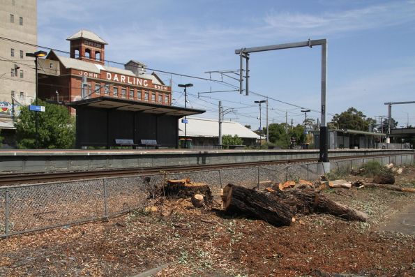 Giant gum tree chopped down on the east side of Albion station so service relocation works can proceed